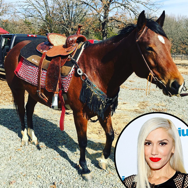 Gwen Stefani, Instagram Gwen Stefani, Instagram